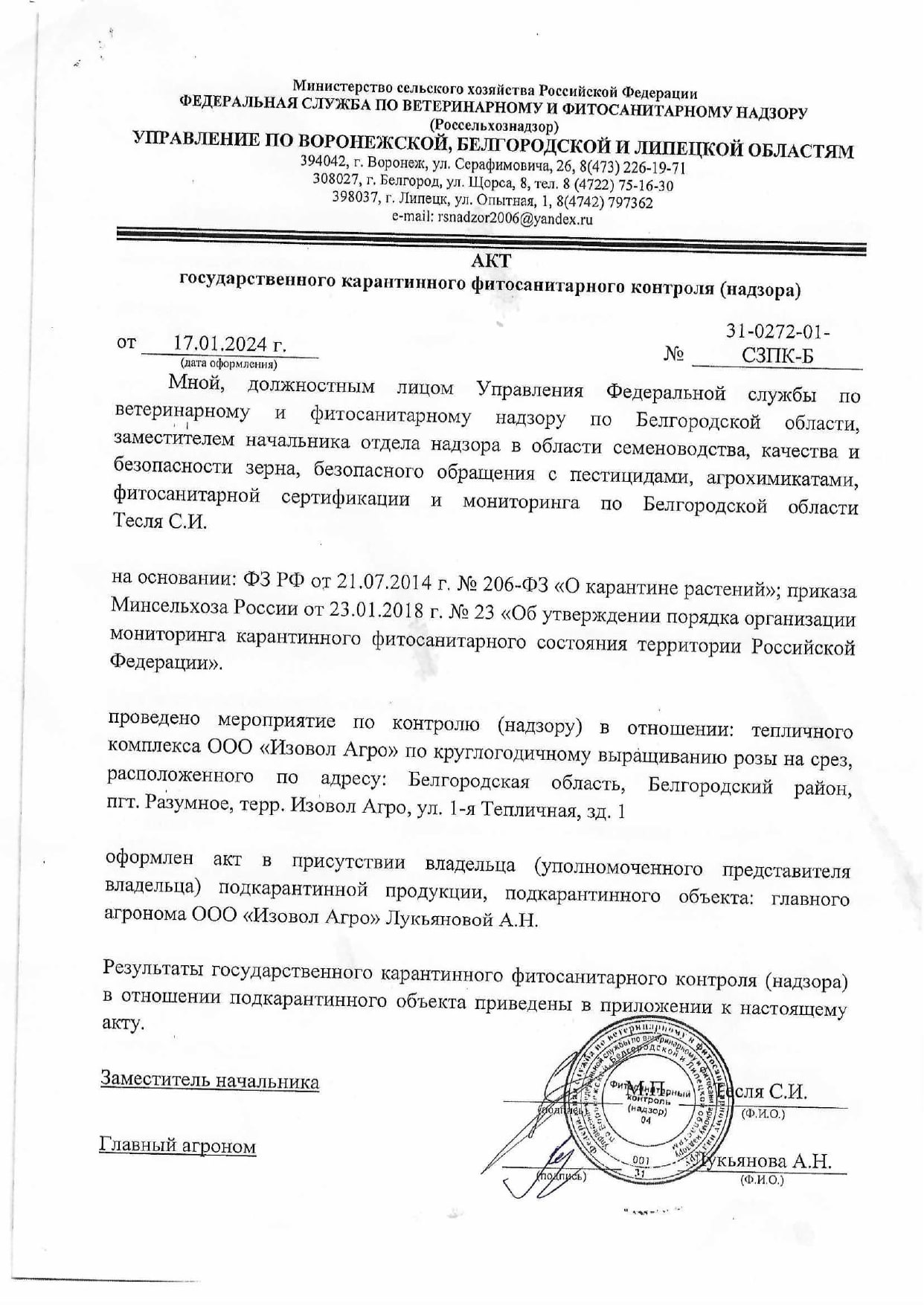 Сертификат, первая страница