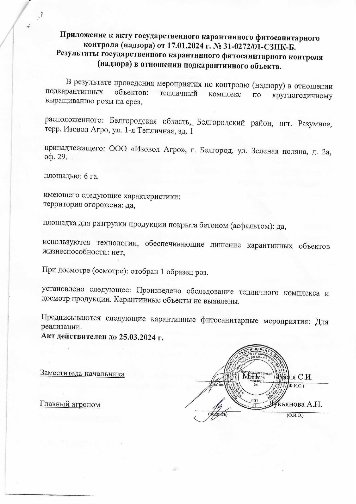 Сертификат, вторая страница